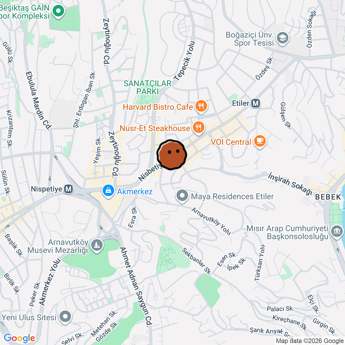 A map showing where Arkestra is in Beşiktaş İstanbul