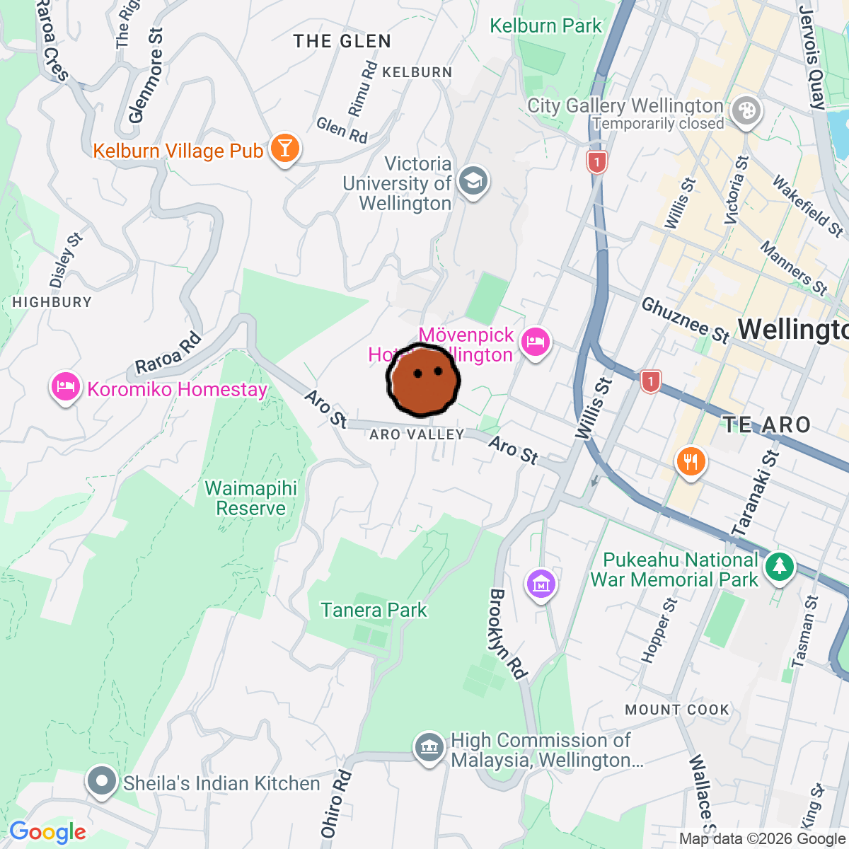 A map showing where Octo is in Wellington